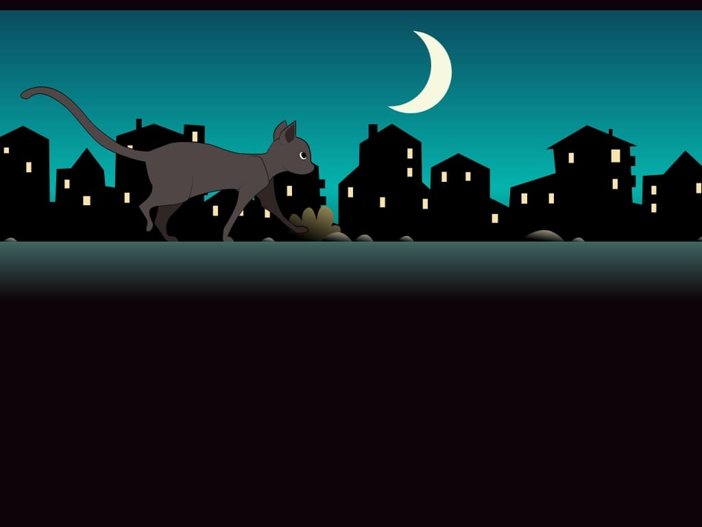Кот html & css & svg гуляющий ночью - Кошки html