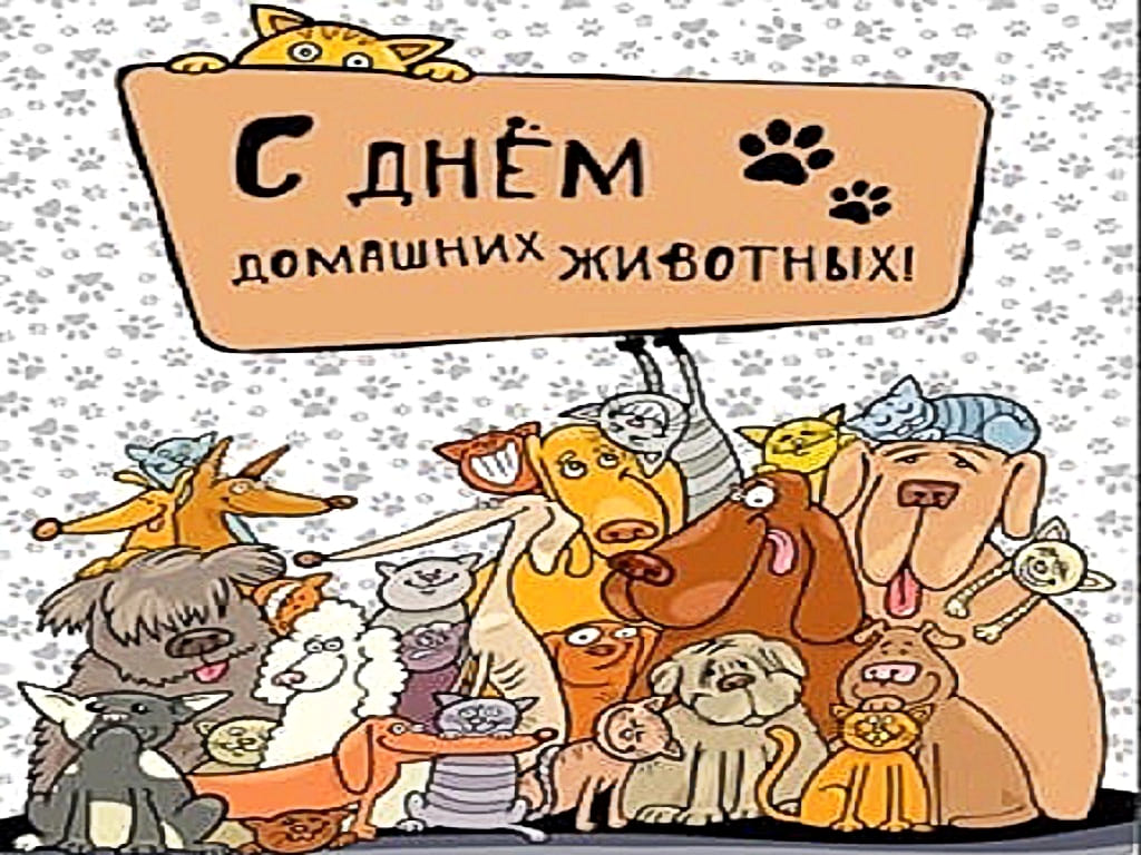 30 ноября всемирный день домашних животных - Праздники кошек