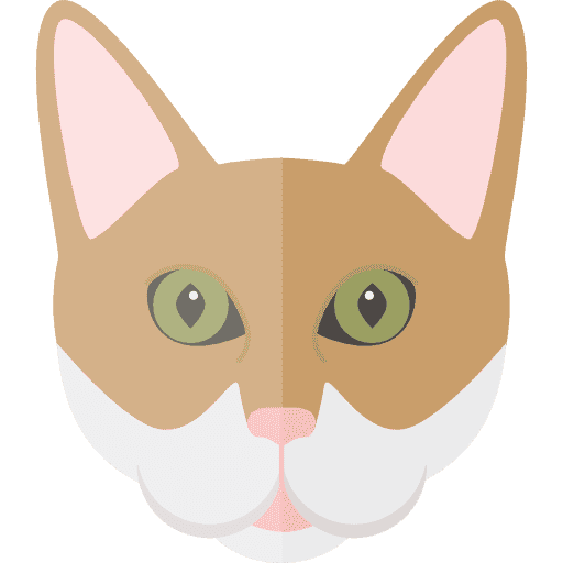 Морда рыжего ушастого кота