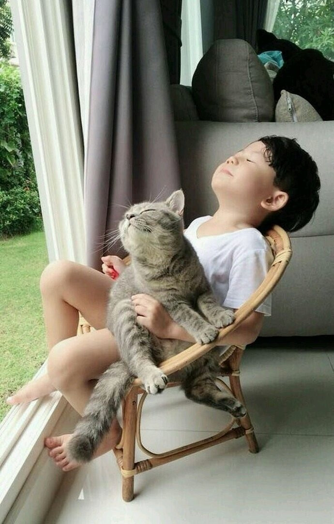 Мальчик с котиком на стульчике