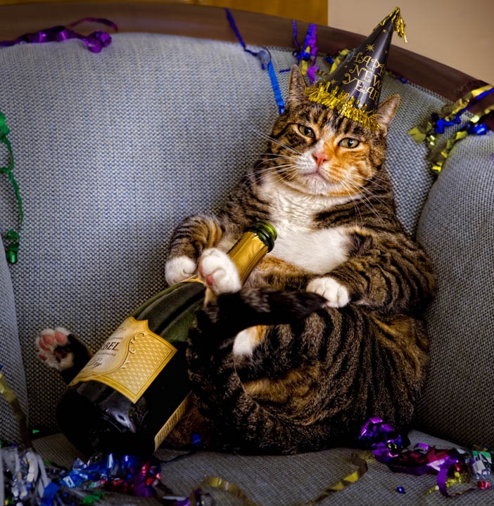 Котик с шампанским