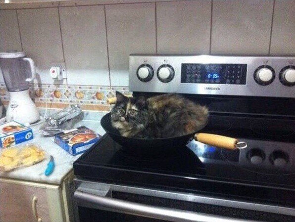 Кошечка в сковороде