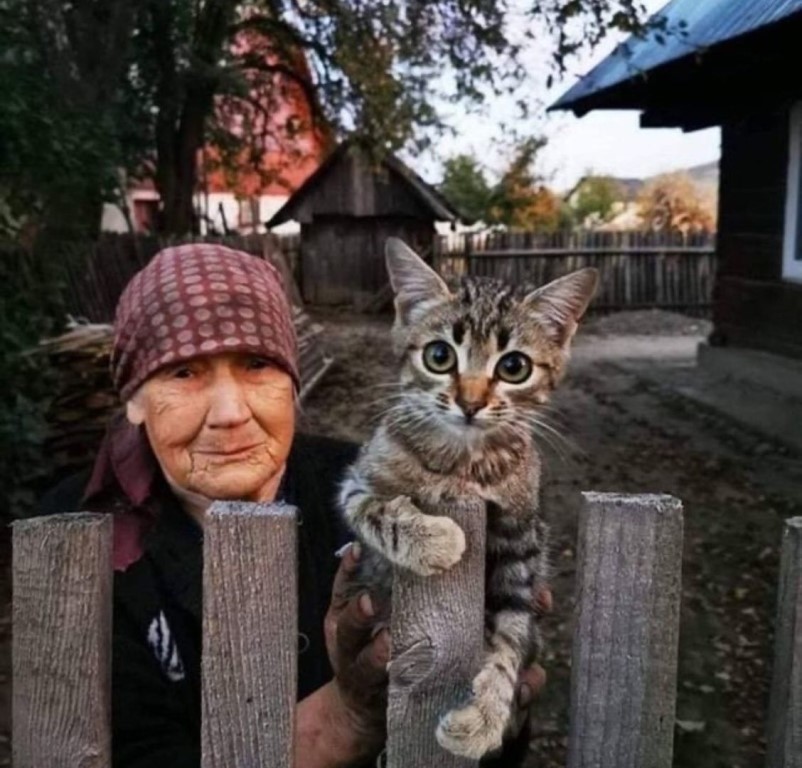 Бабушка держит котёнка