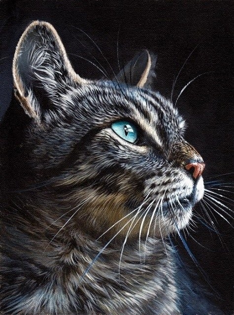 Полосатый котейка с голубыми глазами