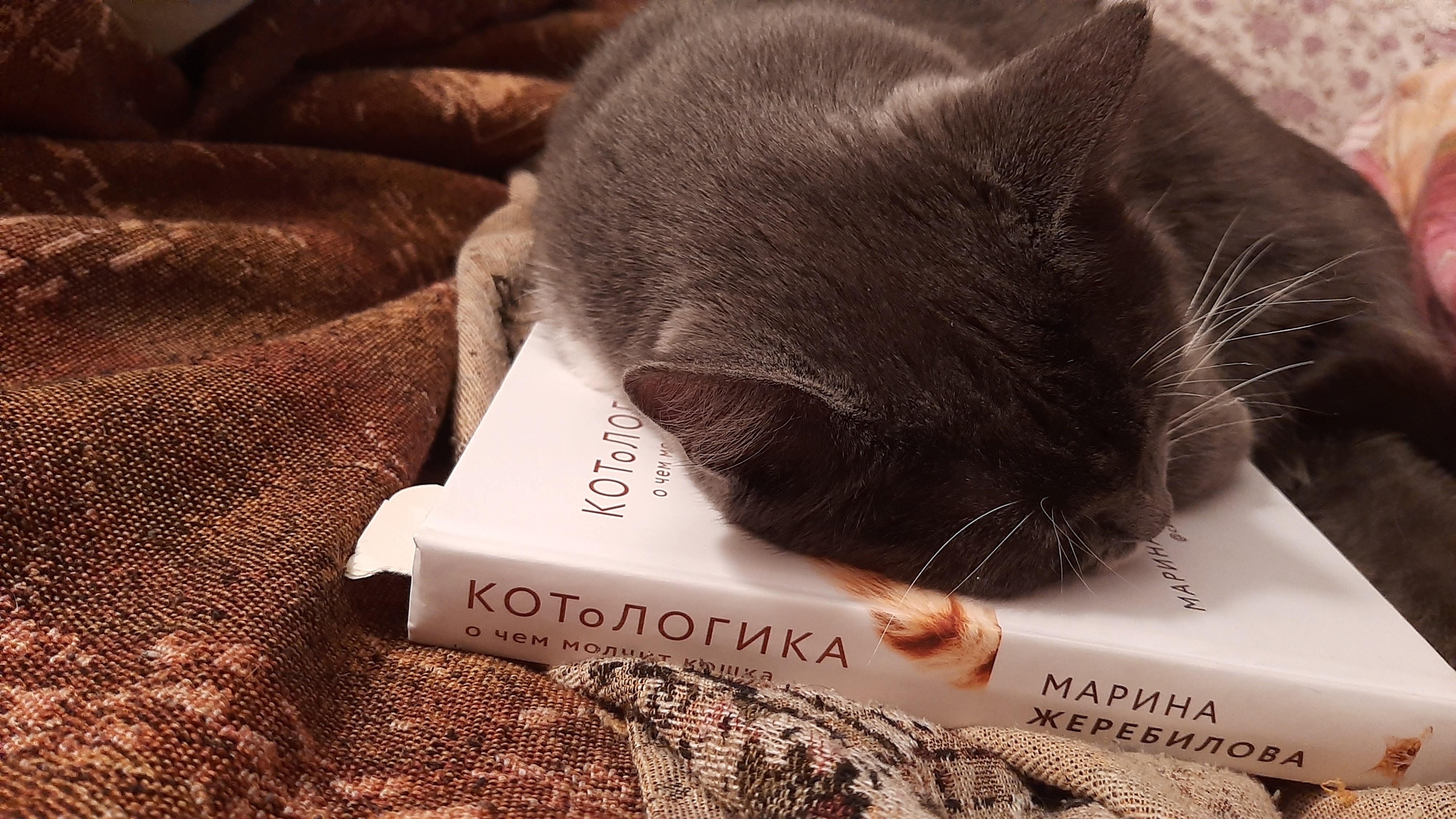 Чтение - утомительное занятие