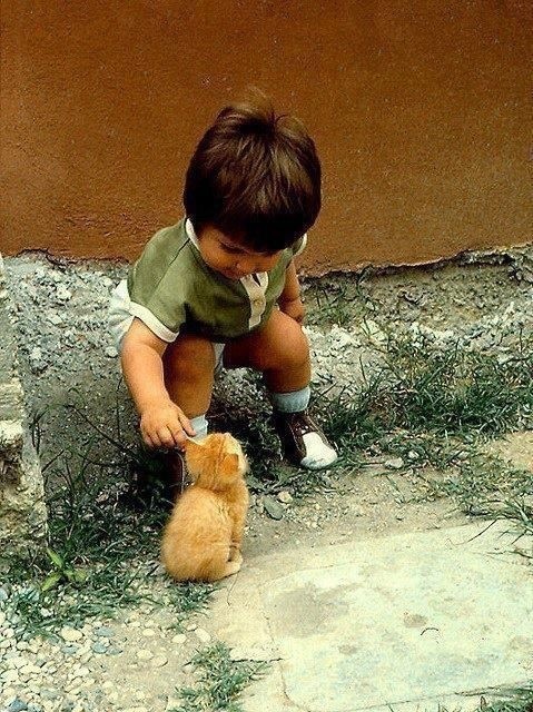 Ребёнок и рыжий котёнок
