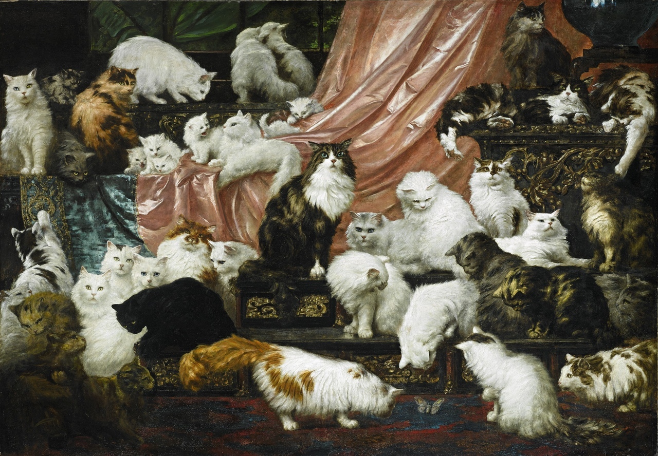 Картина с кошками