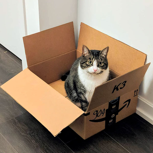 Не забирайте коробку, это мой любимый размер