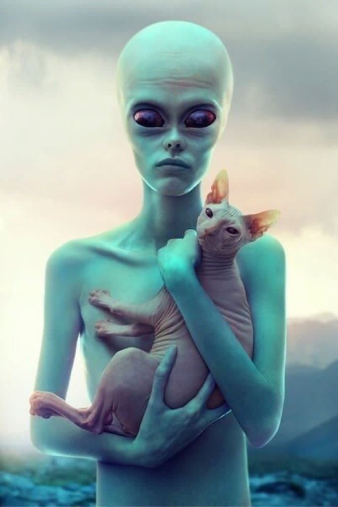 Инопланетянин с лысой кошкой