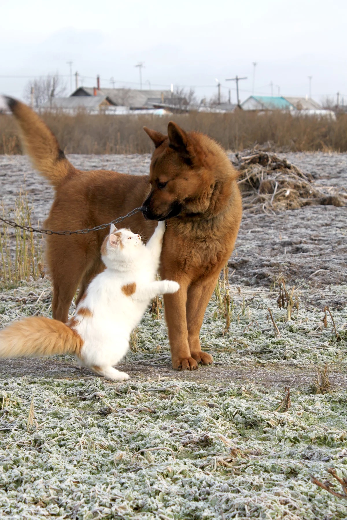 Не грусти друг, сейчас я тебя отцеплю