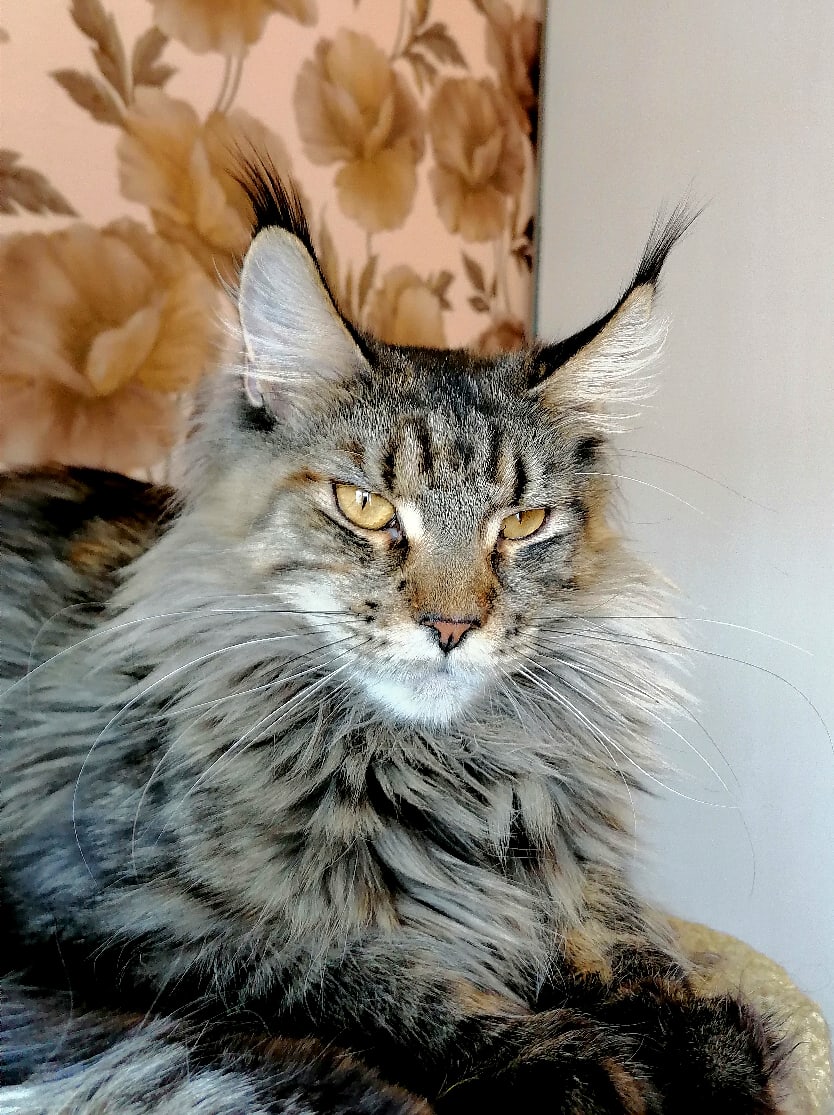 Есть у меня одна мыслишка