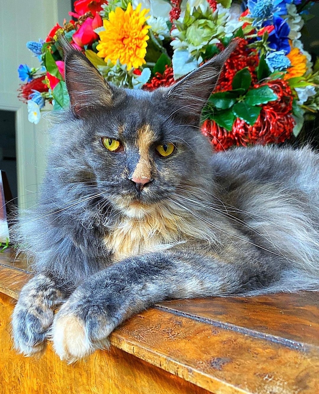 Не нужны мне ваши гербарии, лучше дома со мной посидите