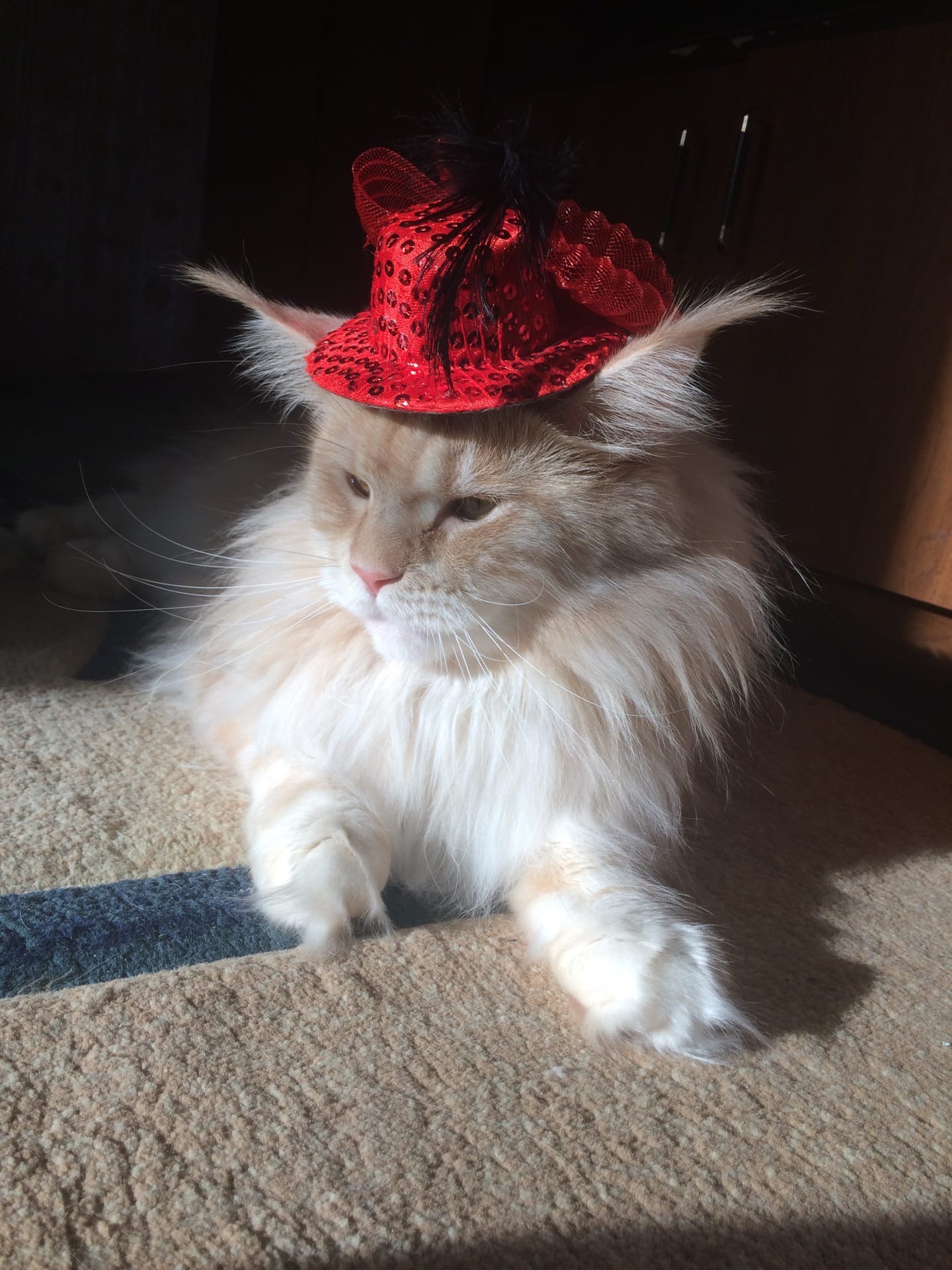 В такой шляпке, голову не напечёт