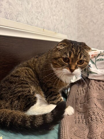 Я вам кофточку приготовила, а то на улице прохладно