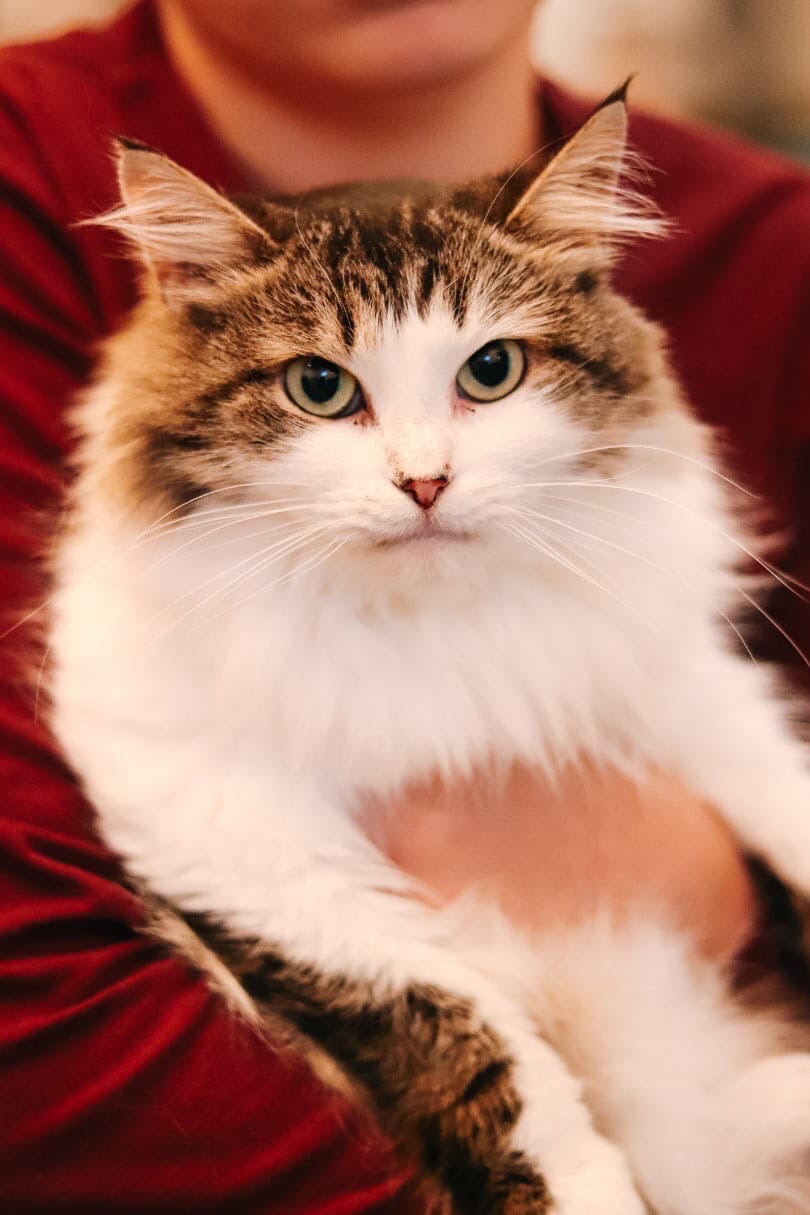 Ладно, минуточку посижу спокойно