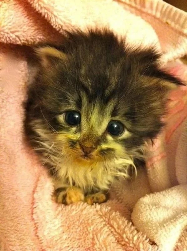 Вы встаёте или мне подождать, когда вы выспитесь