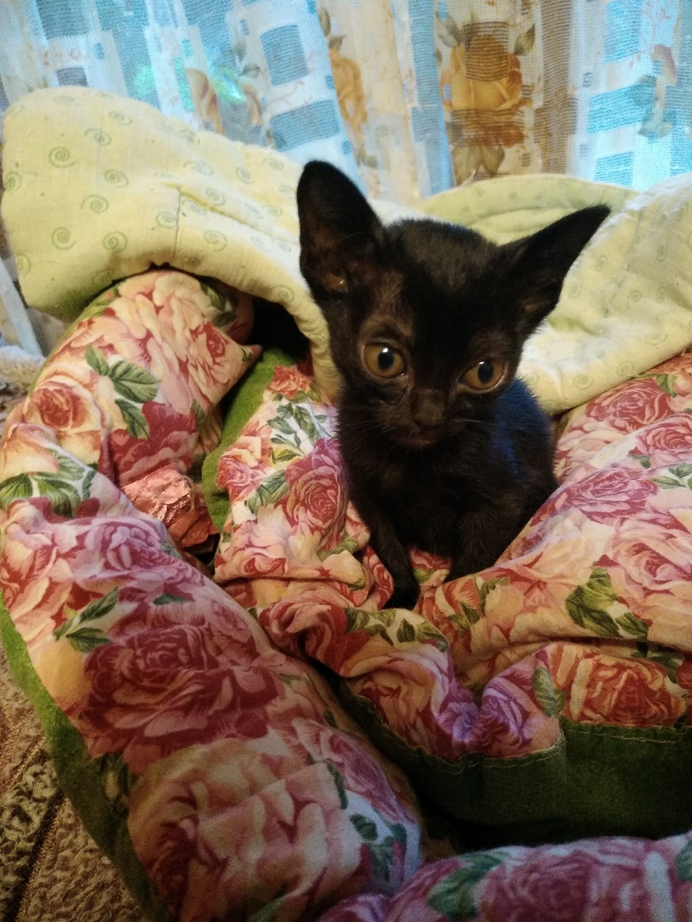 Мне не достаточно мягко