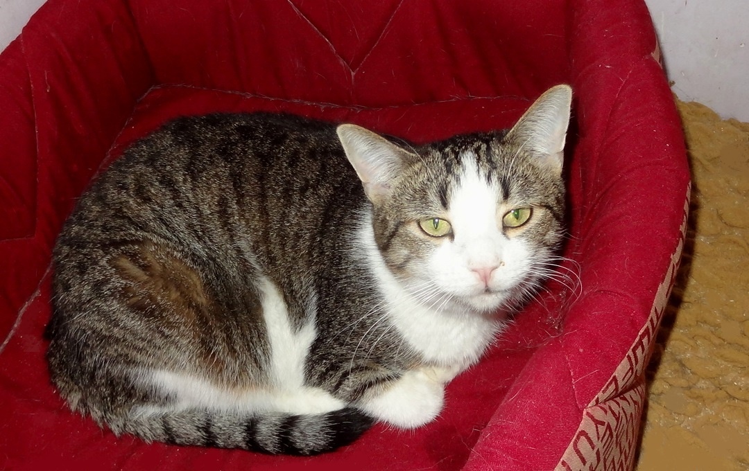 Плохо спал, ещё полежу