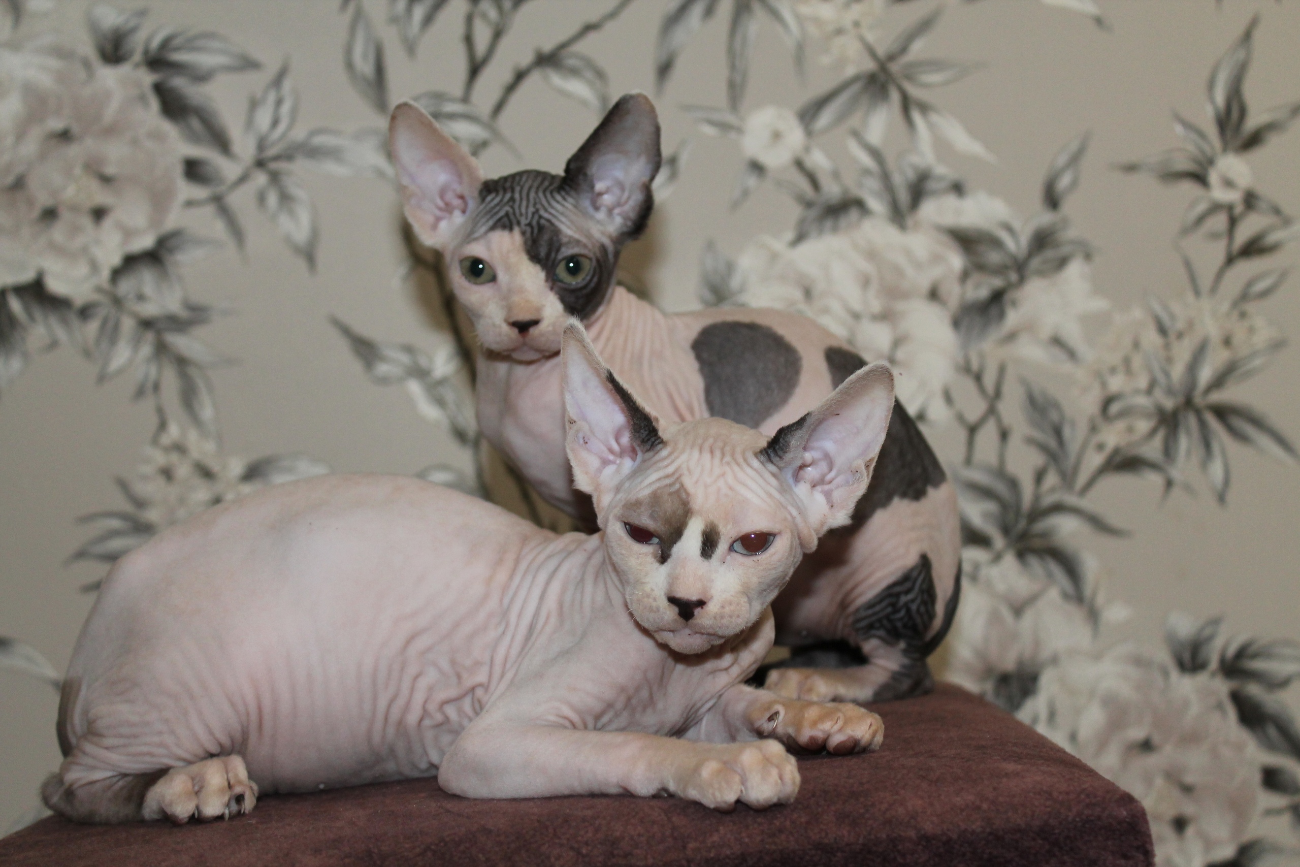 Вы нас надолго не бросайте, мы будем скучать