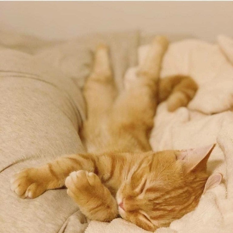 Не хотите спать и не надо, а я хочу