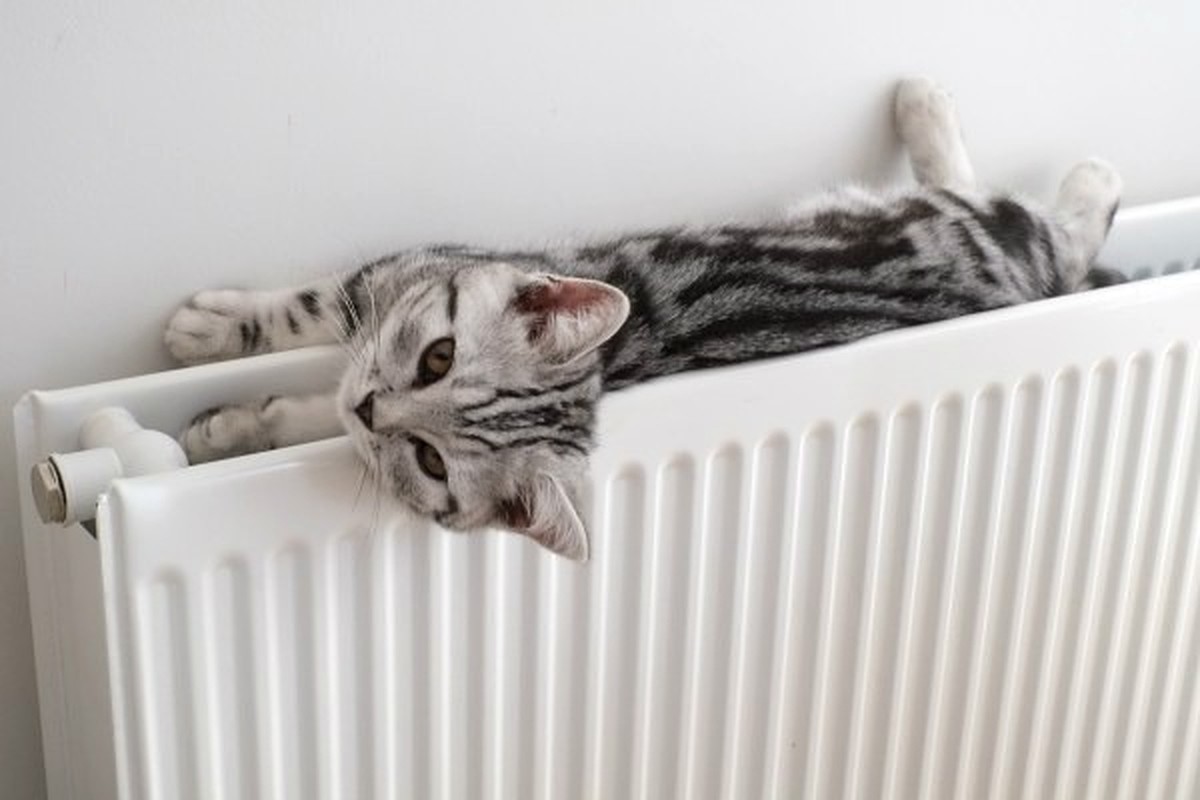 Батарея моё любимое место, в зимний период