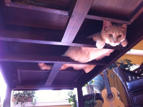 Нигде от вас не скроешься