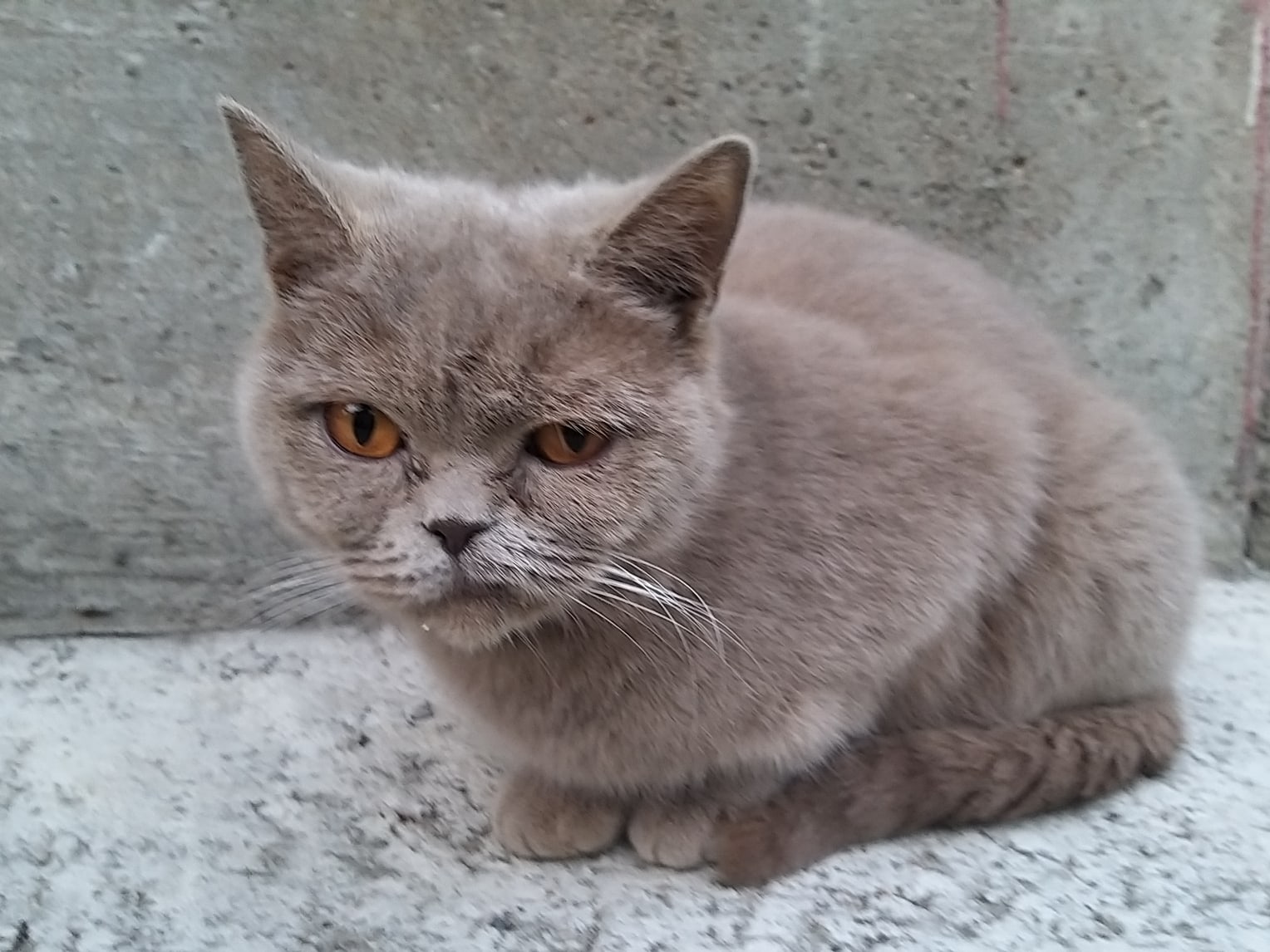 По ночам стало холодать, значит осень наступает