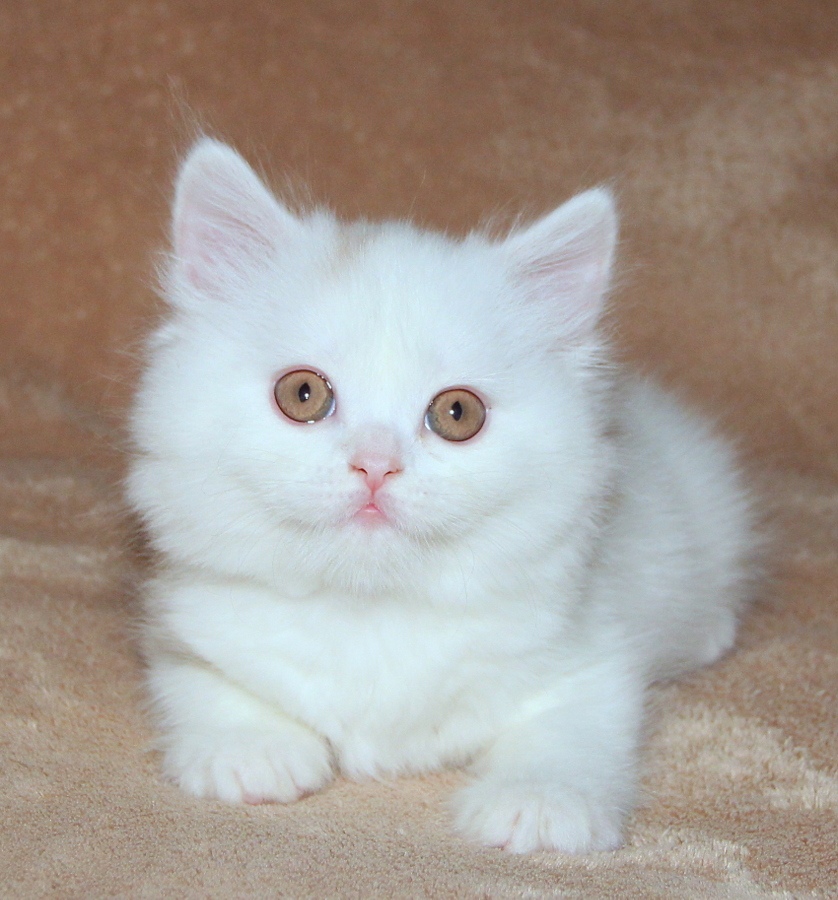 Может ещё в постели поваляемся, сегодня же воскресенье