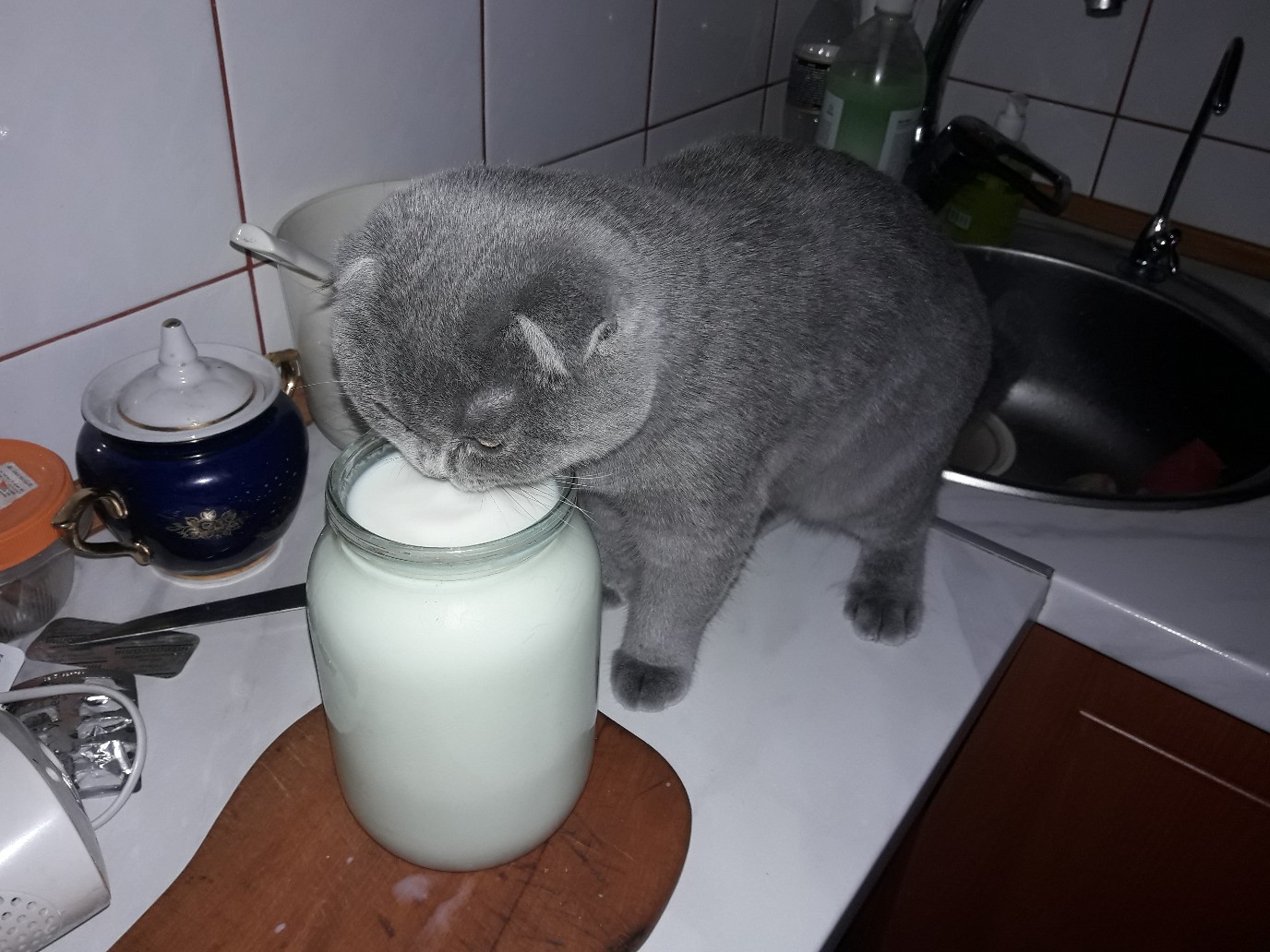 Молочко на завтрак, то что надо