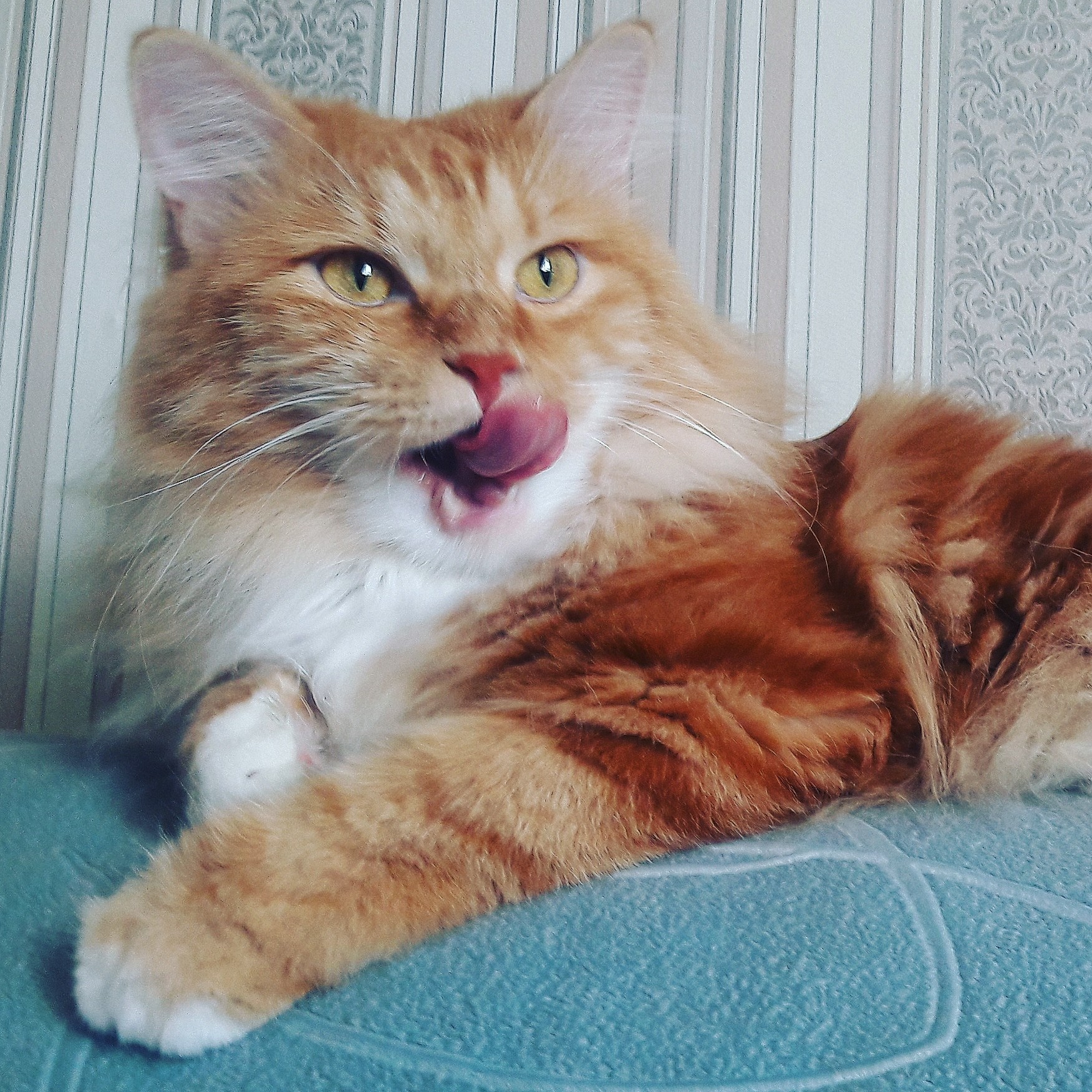 Поспал, поел, можно и повторить