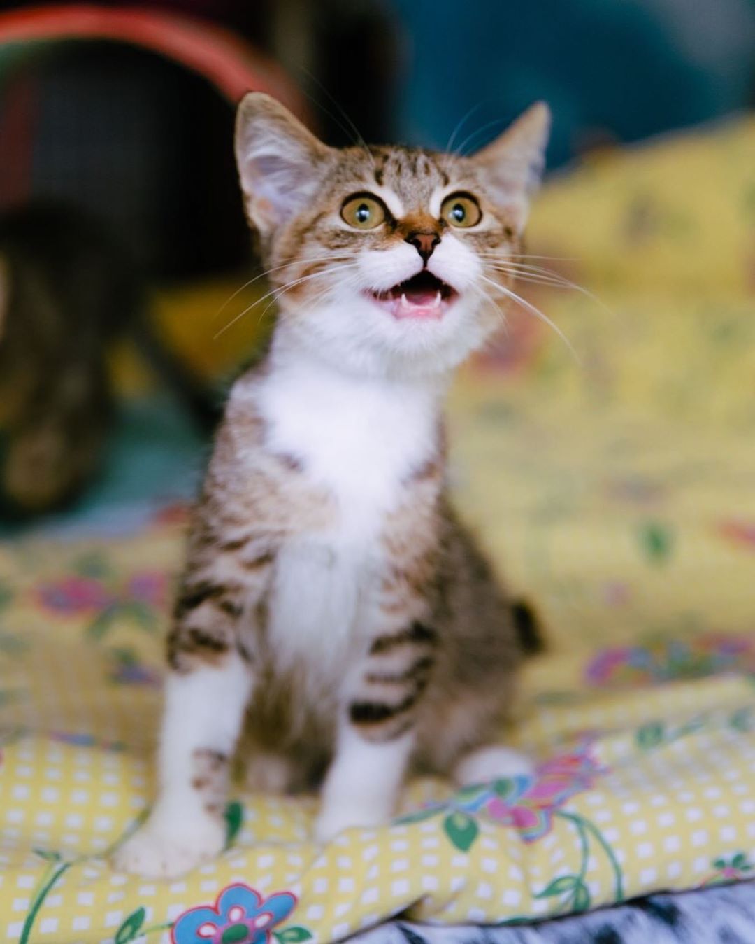 Мам, мне ещё поиграть или уже можно кушать идти