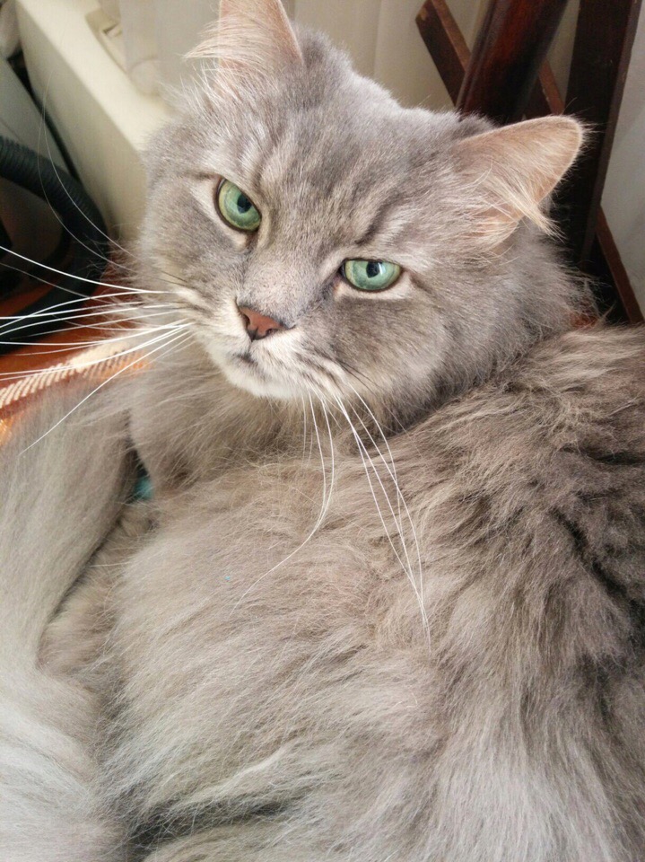 Ложитесь спать, гасите свет