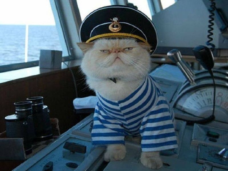 Жди меня моя морячка и я вернусь