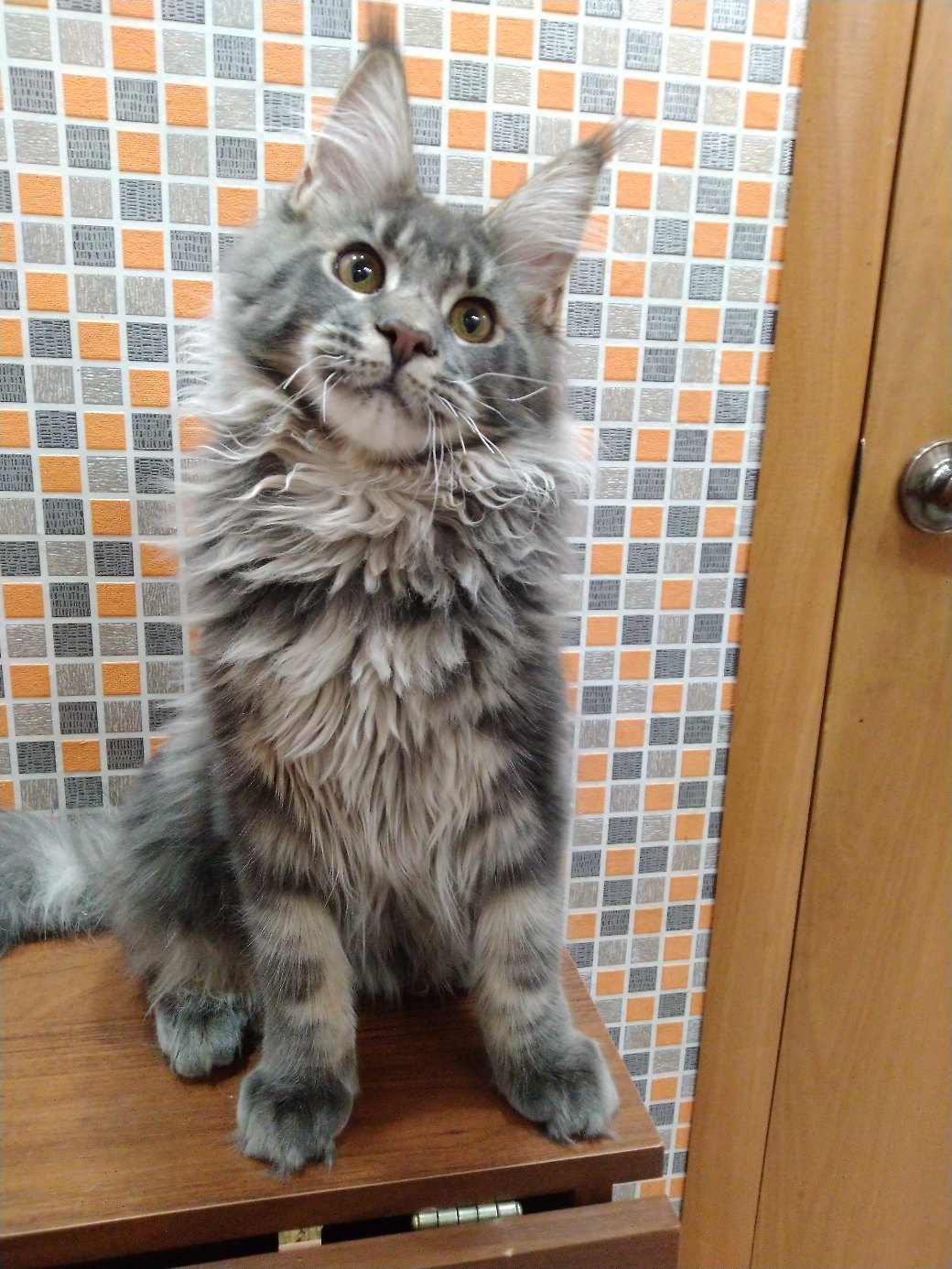 А я вас ждал с нетерпением