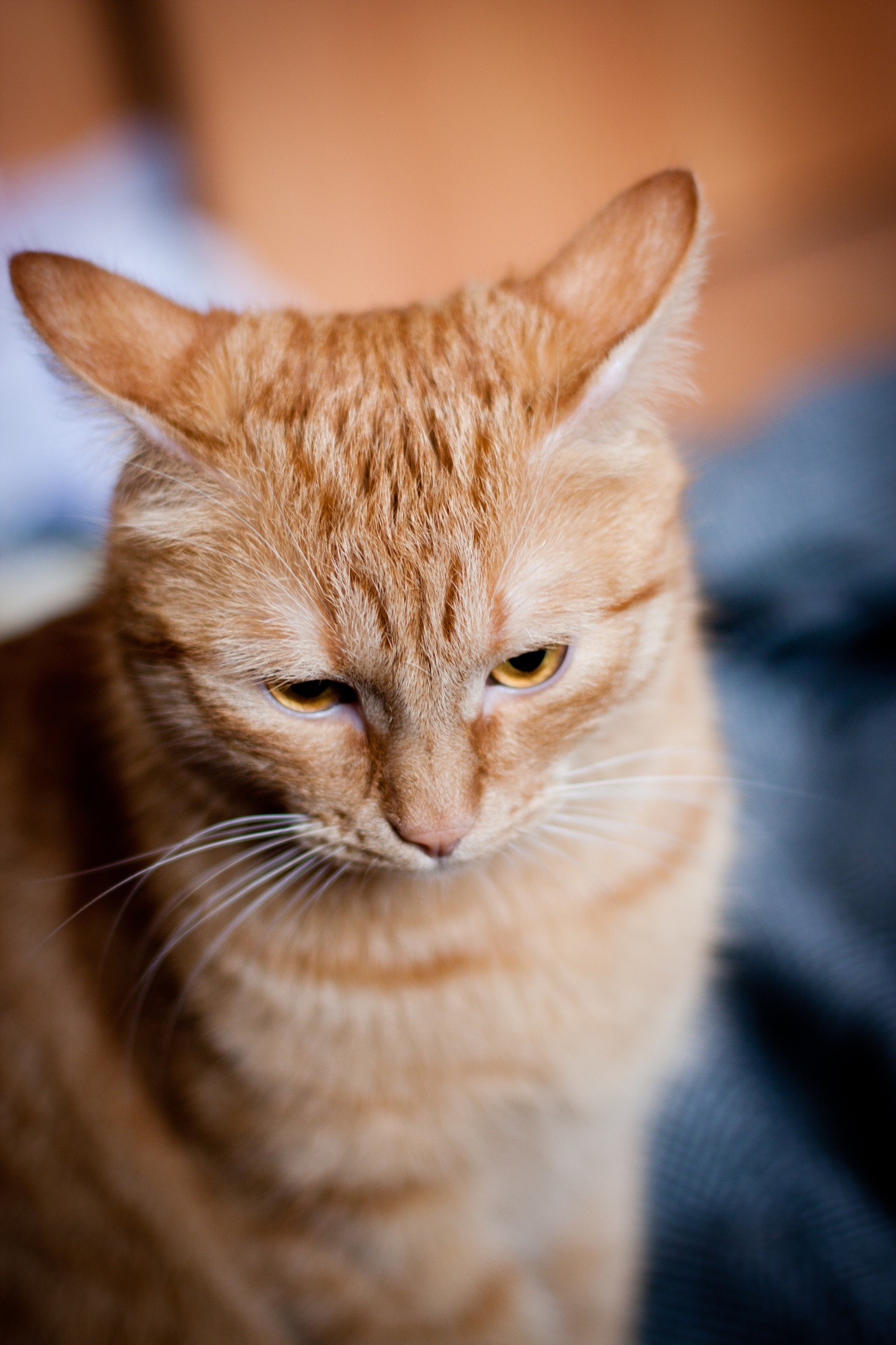 Я больше не буду