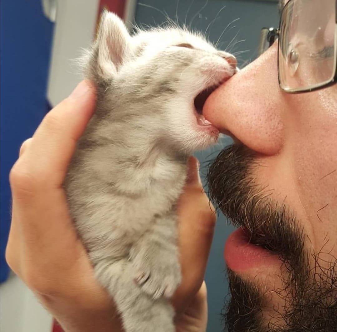 Я тебя так люблю, что укушу