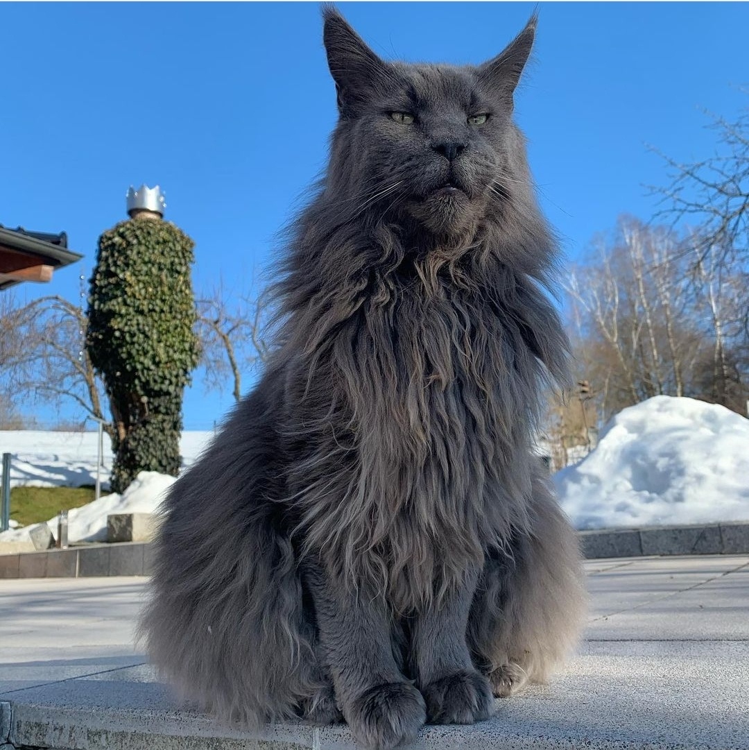 Какие достопримечательности вас итересуют, могу показать