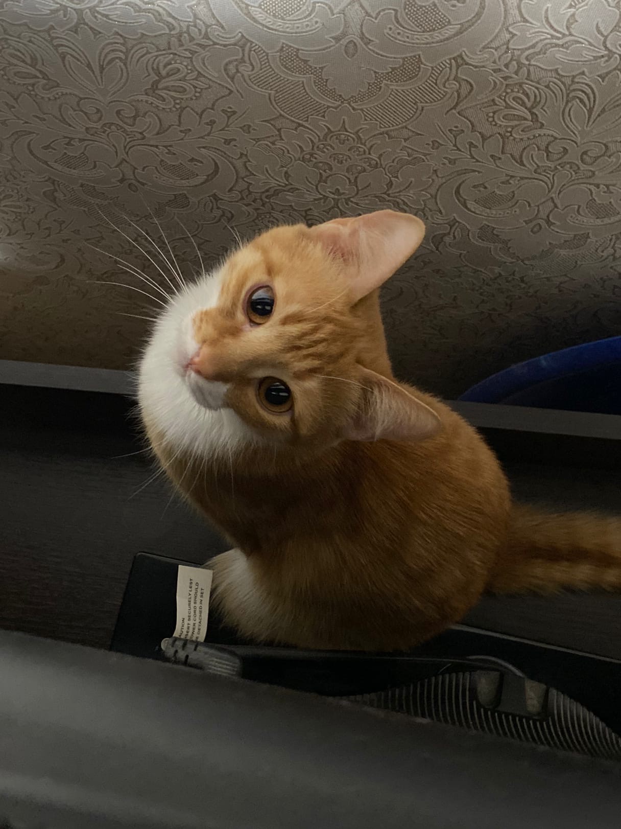 Мячик от меня укатился,  не могу найти