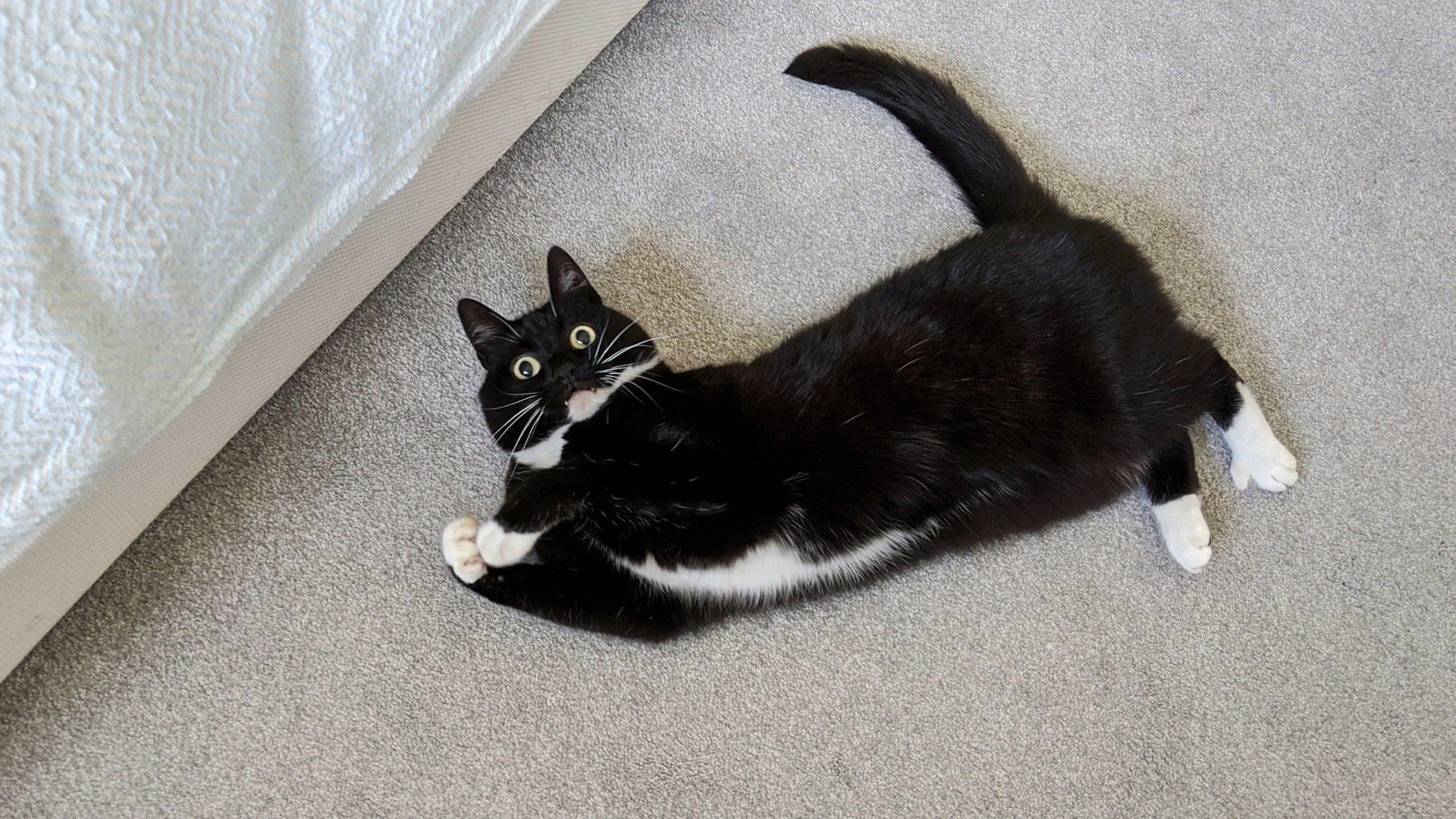 Вы что меня пугаете, я думал дома никого нет