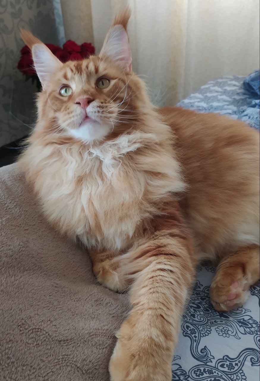 Ближайший час,меня не беспокойте, я буду отдыхать