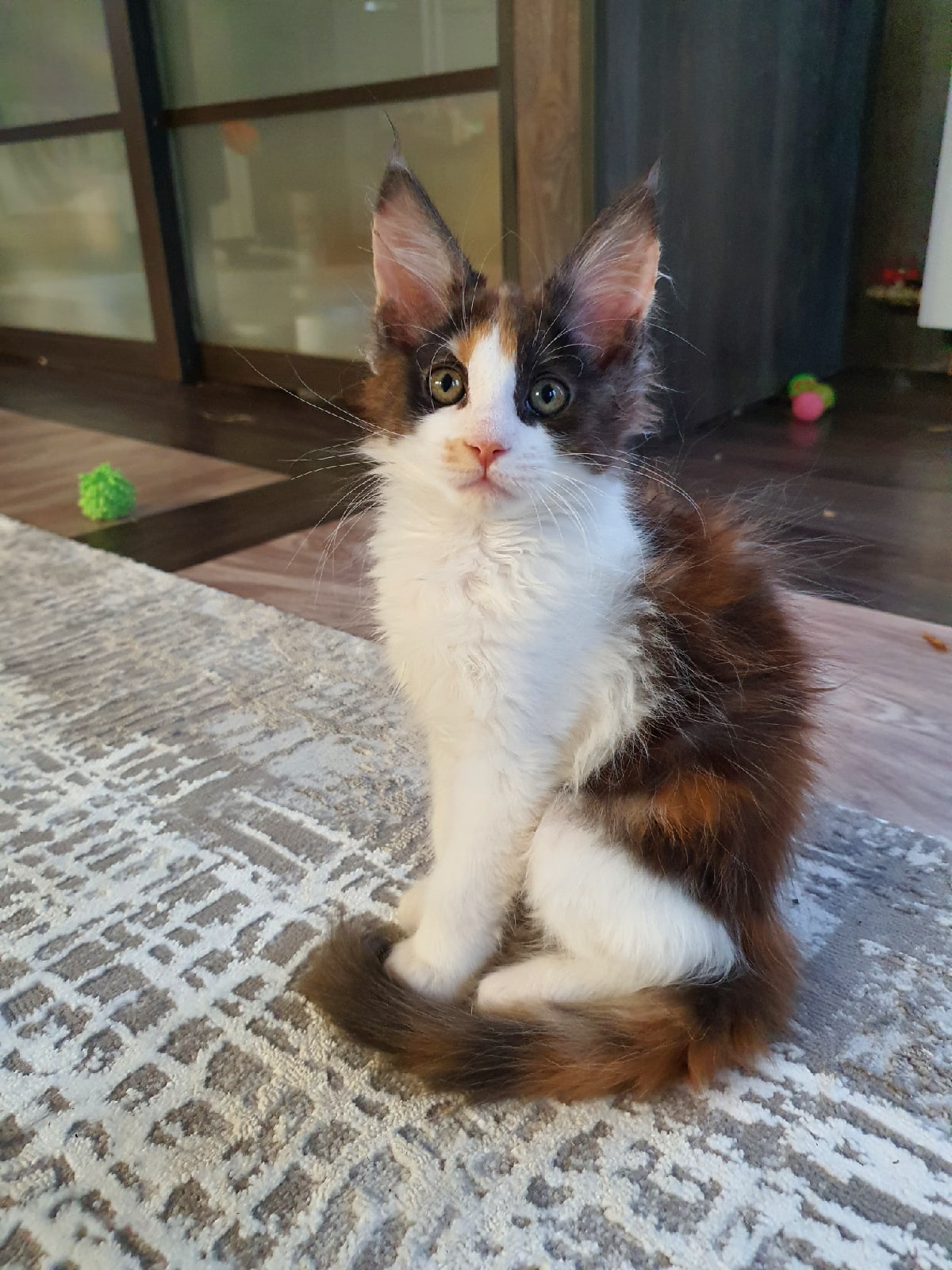 Все игрушки раскидала, можете собирать