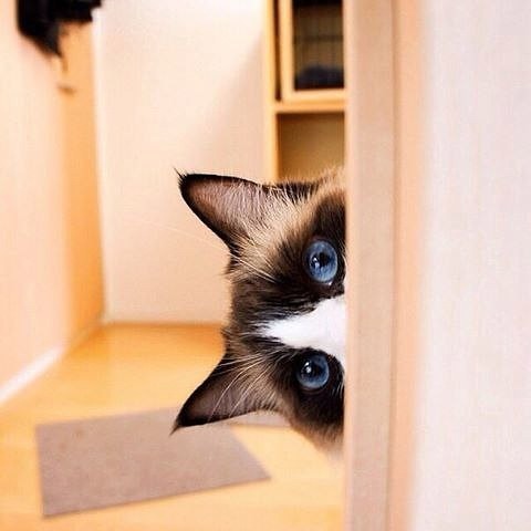 Любопытная, просто жуть