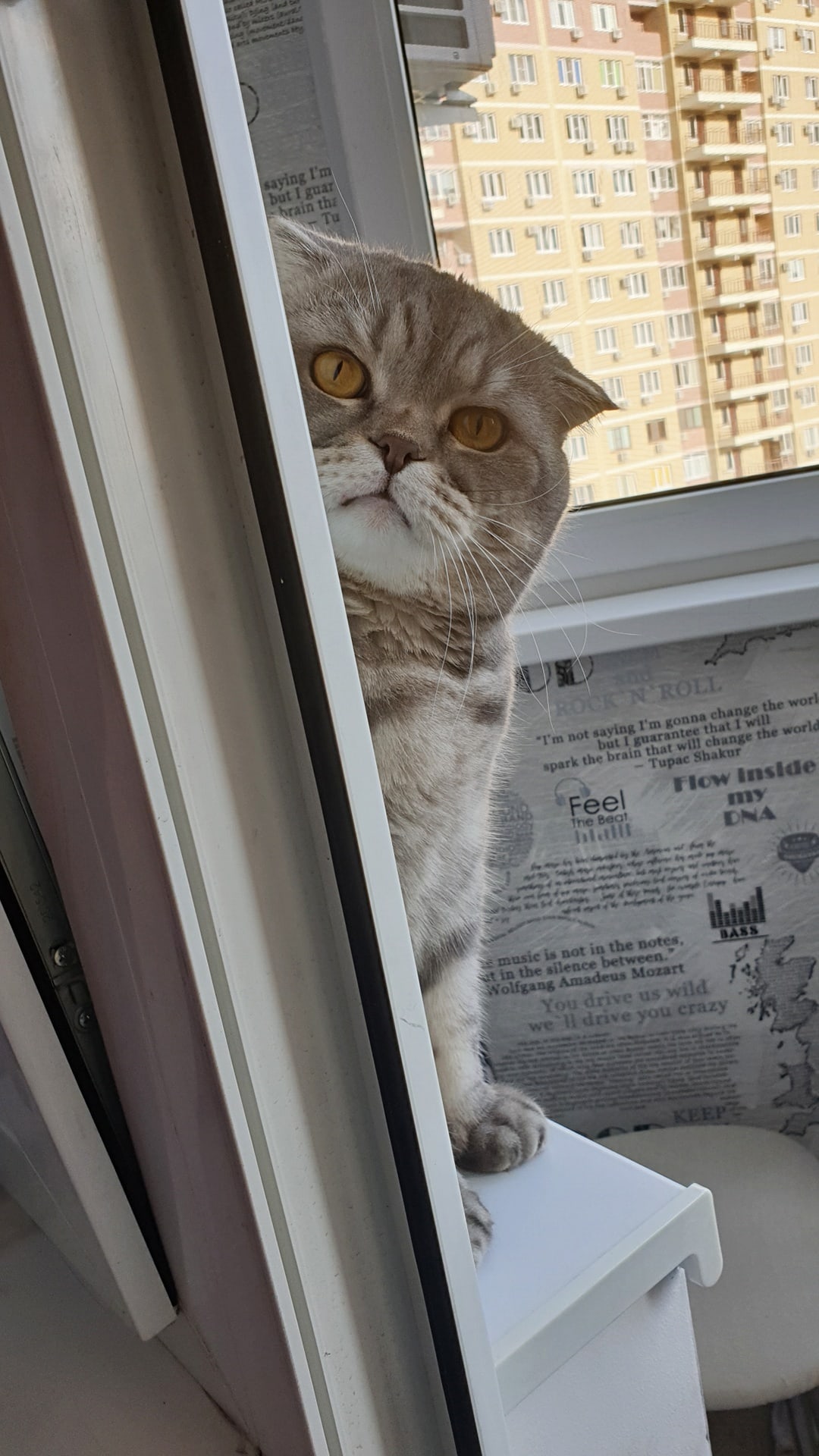 Мне отсюда улицу не видно, так что решите эту проблему