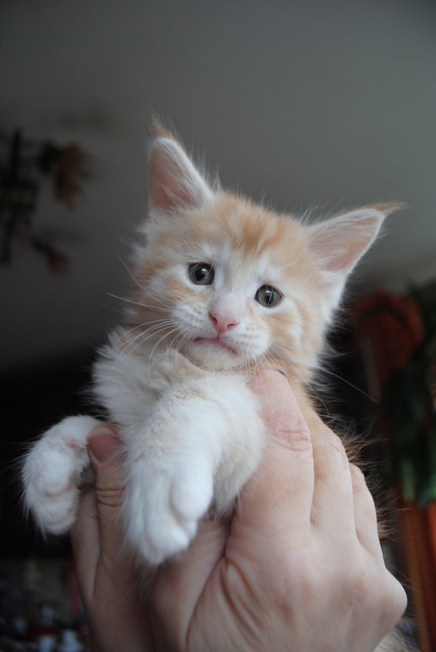 Я ещё поспать хотел, а вы меня разбудили