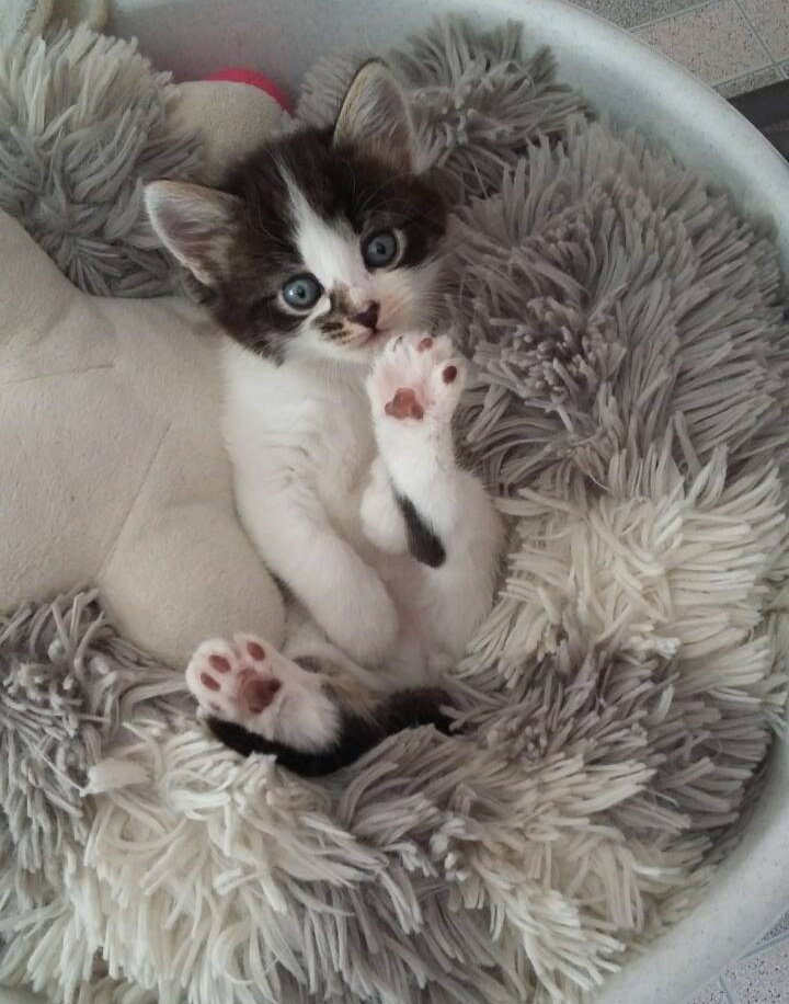 Милый выбражуля