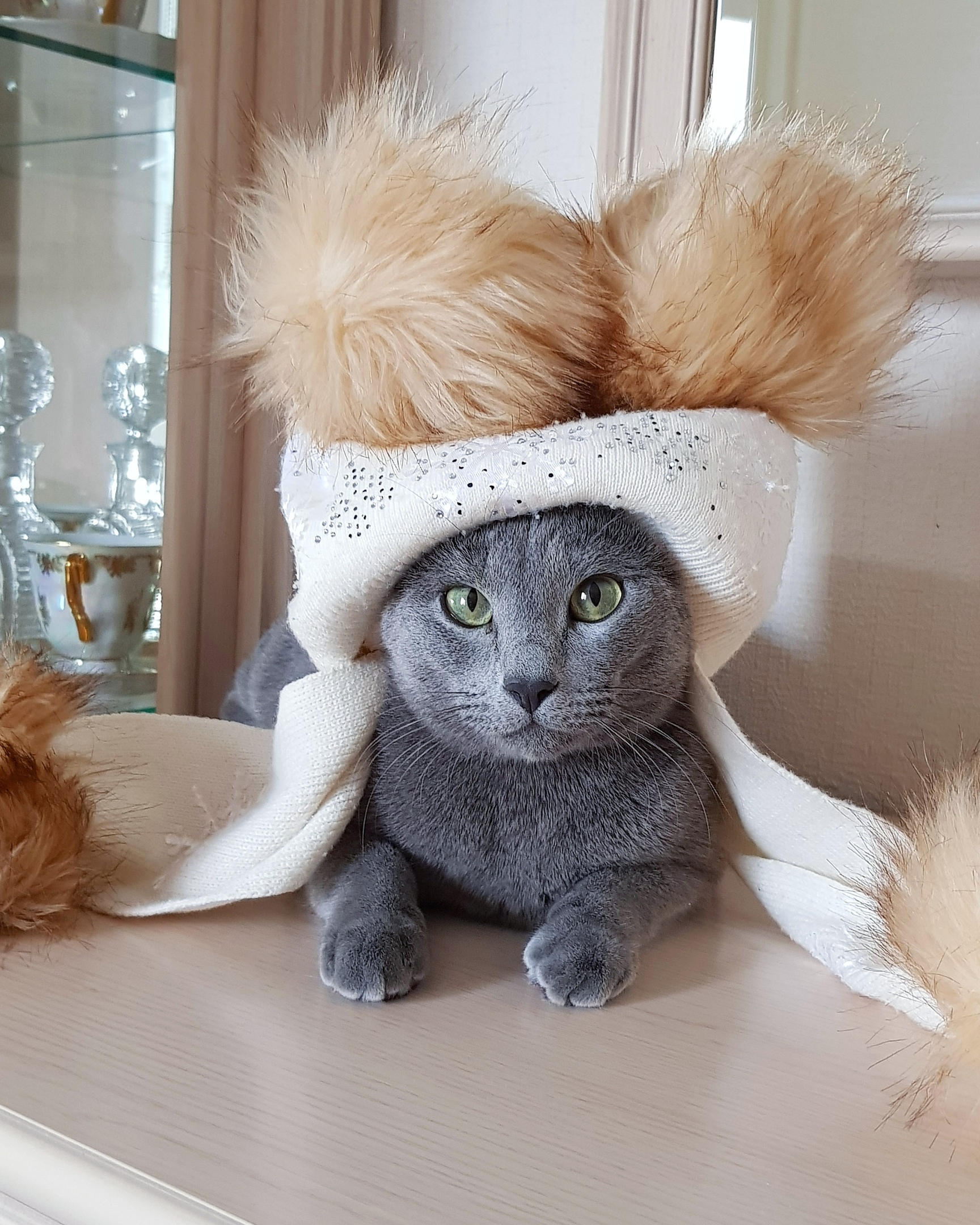 Пойду в шапочке гулять, все соседские коты в шоке будут