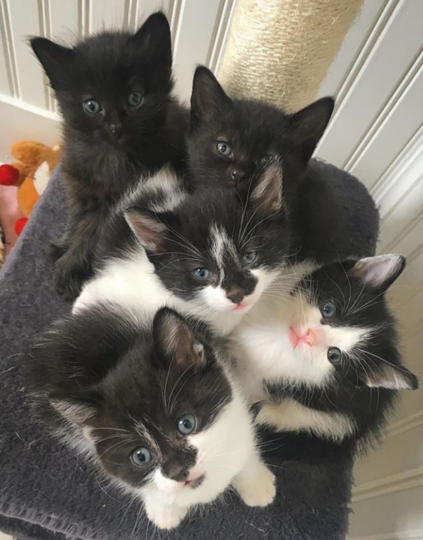 Мы выспались и кушать хотим