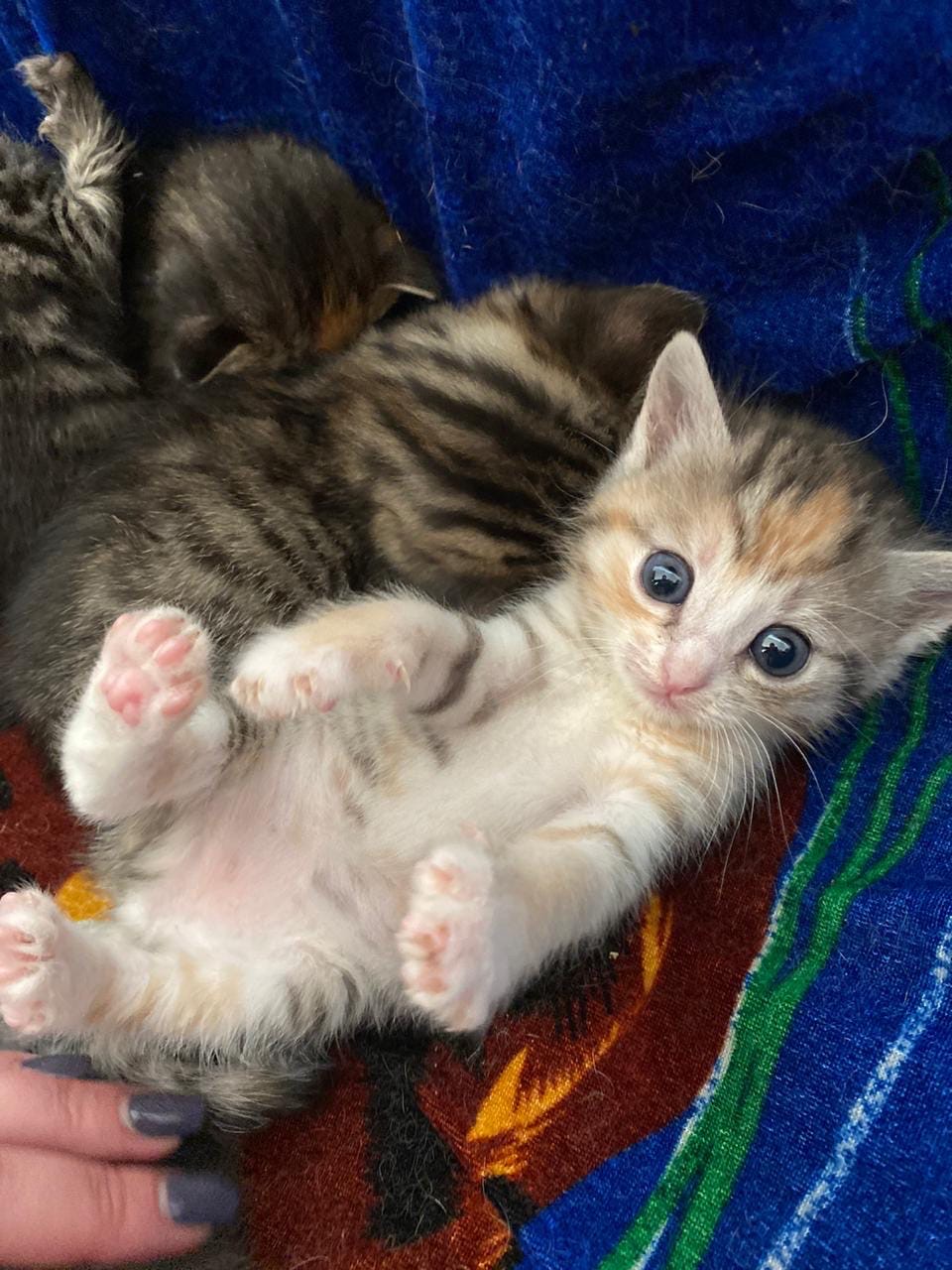 Все спят, а я проснулась