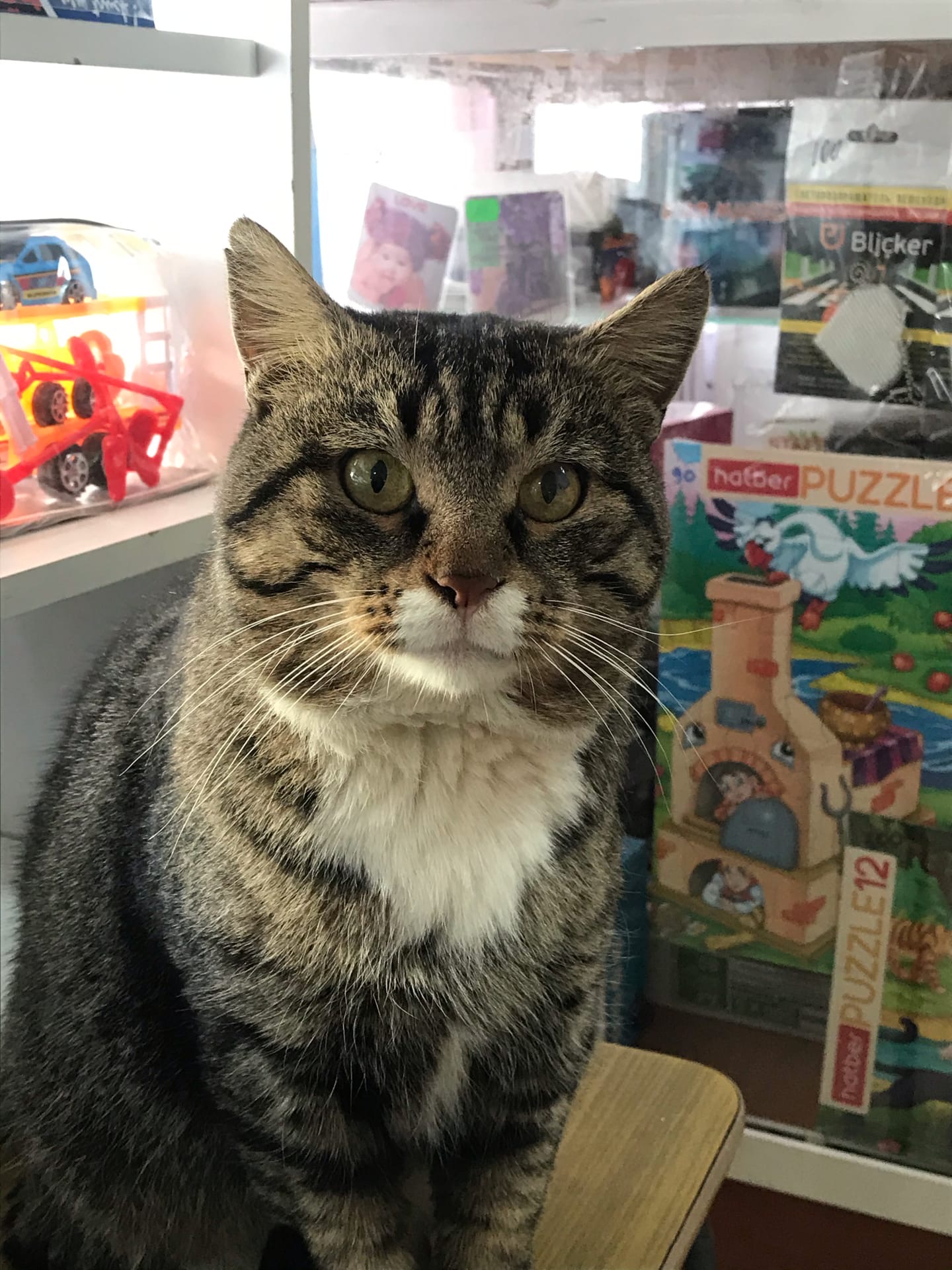 У нас большой ассортимент, что вас интересует