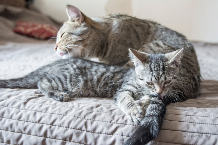 Урок гигиены - проходит отлично